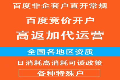 百度竞价推广案例：行业领军者成长故事